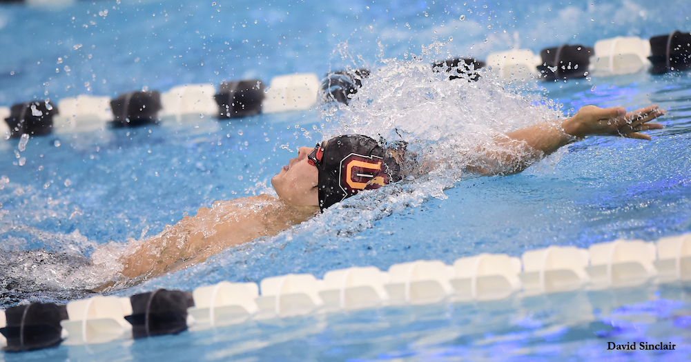 Men's Swimming Downed by Swarthmore