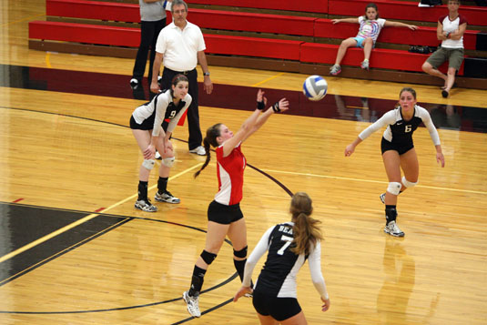Volleyball drops home opener, 3-0 to Widener