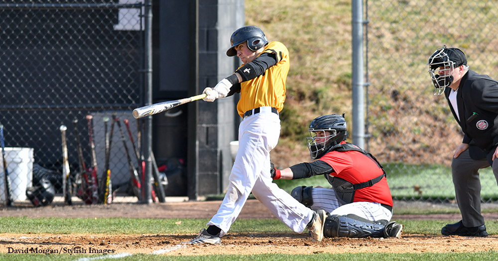 Baseball Flustered by Fords