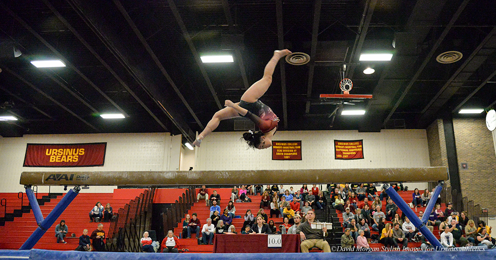 Gymnastics Wins Quad Meet at Ithaca