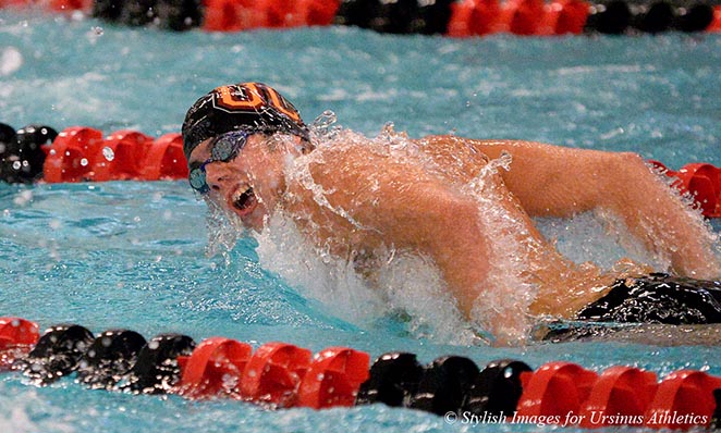 Men's Swimming tripped up by F&M