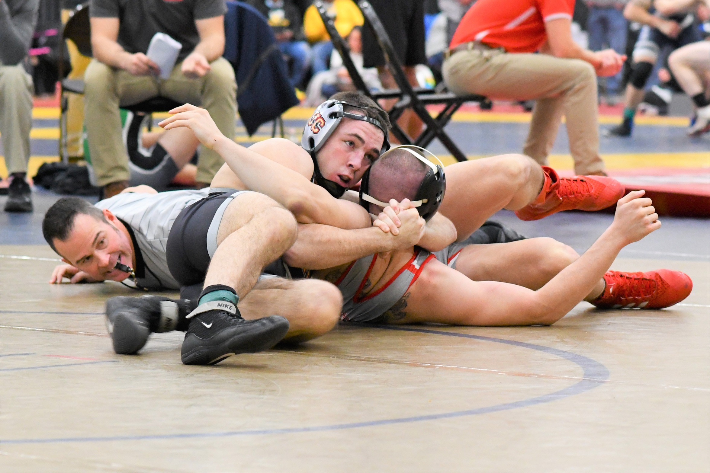 Bears Pin Gothic Knights 26-12