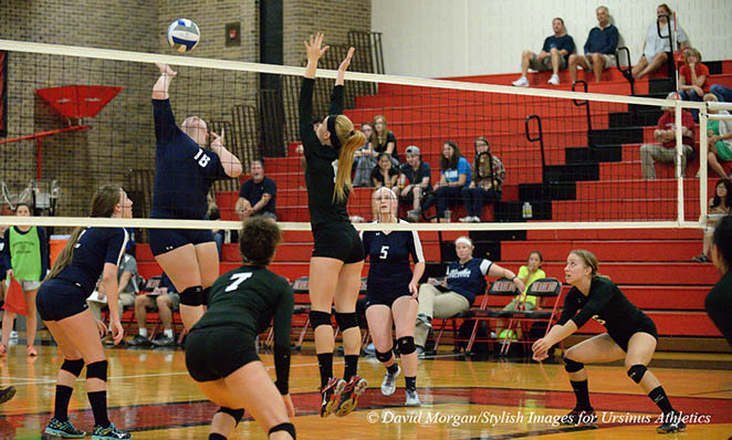 Volleyball drops 3-1 decision to PSU-Berks