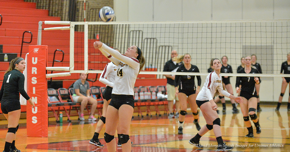 Volleyball Fights Back, But Shorewomen Secure Sweep