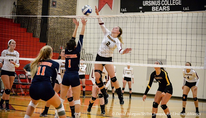Volleyball Nets Another Road Victory