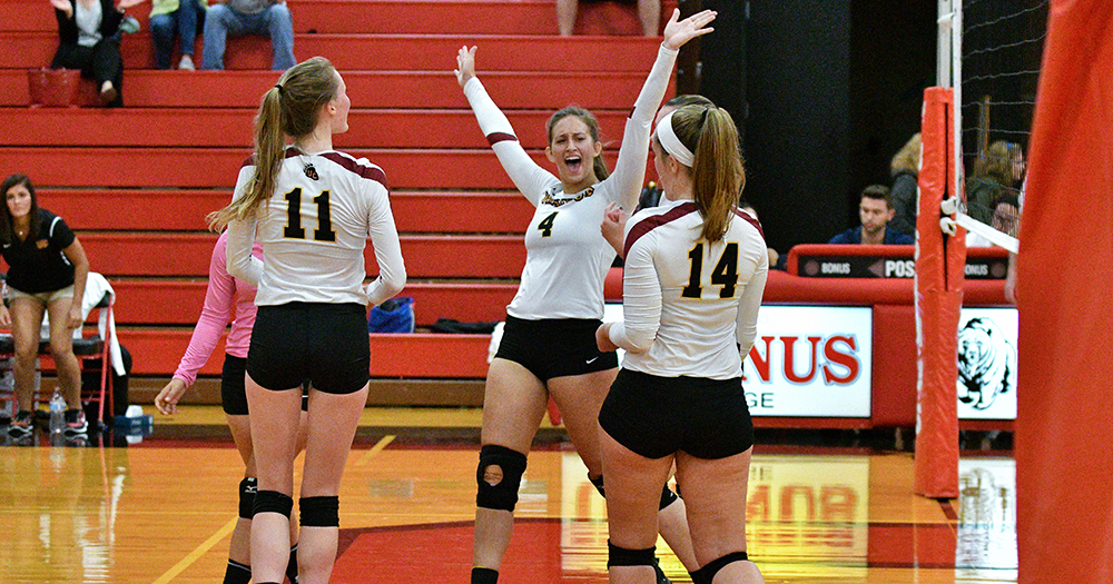 Volleyball Rallies Past Lions in Scavicchio's Debut