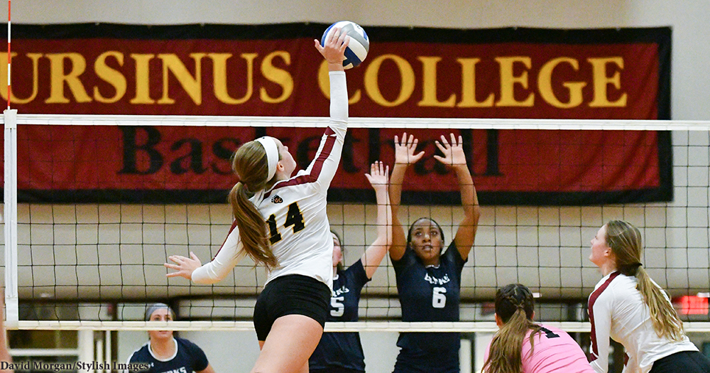 Volleyball Topped By Muhlenberg