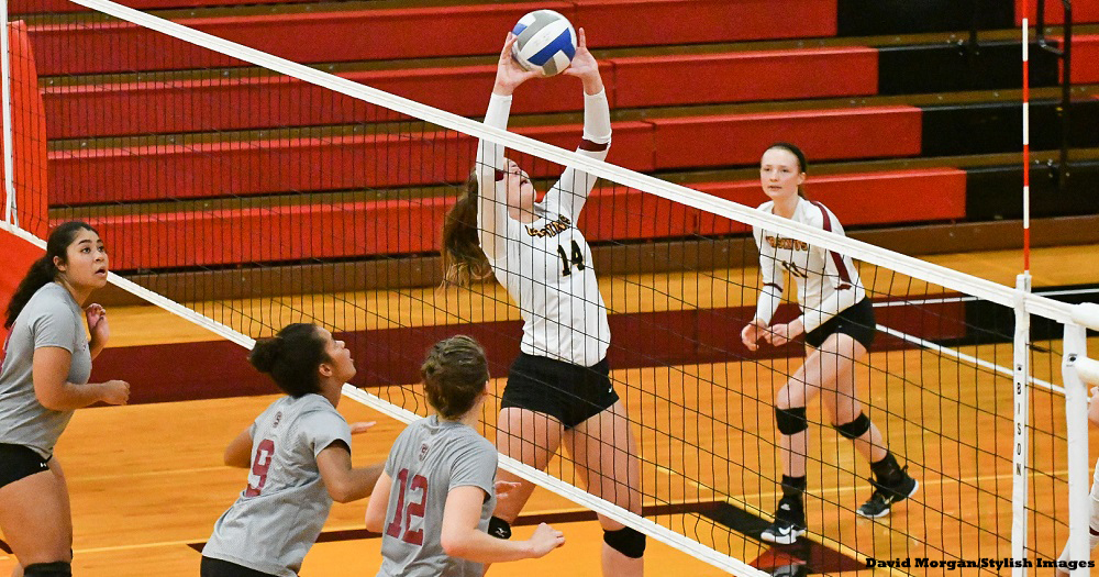 Volleyball Falls to Garnet in CC Opener
