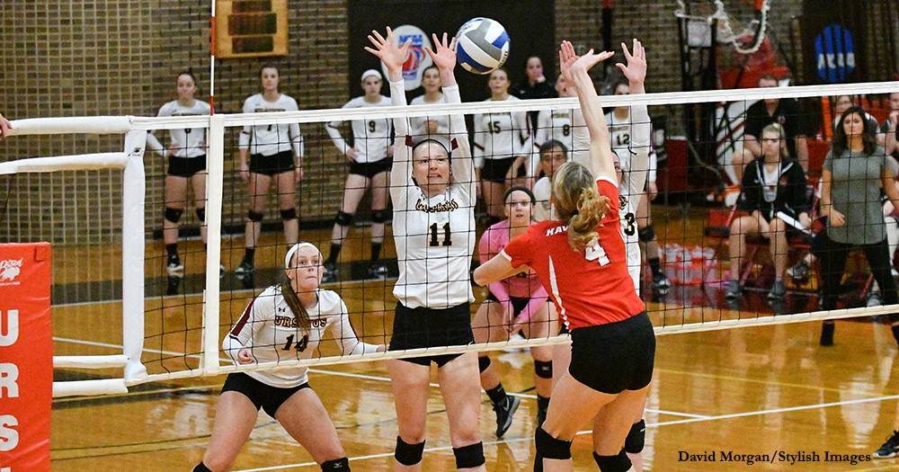 Volleyball Dropped by Haverford