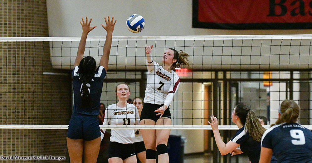 Volleyball Battles Tough in Loss to PSU-Berks
