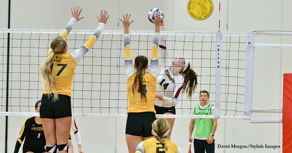 Volleyball Sweeps Curry to Salvage Split