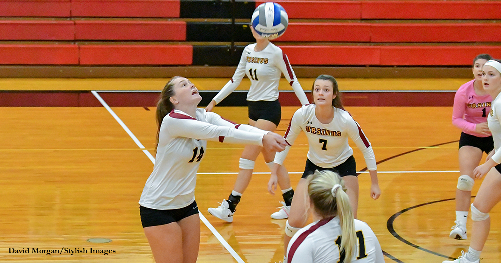 Volleyball Hangs Tough at Haverford