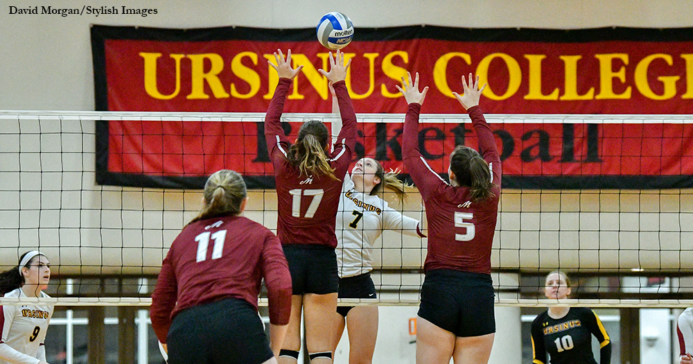 Volleyball Swept by Muhlenberg
