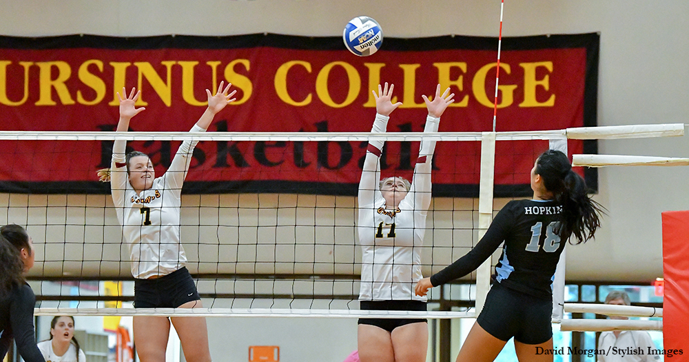 Volleyball Rallies Past Albright
