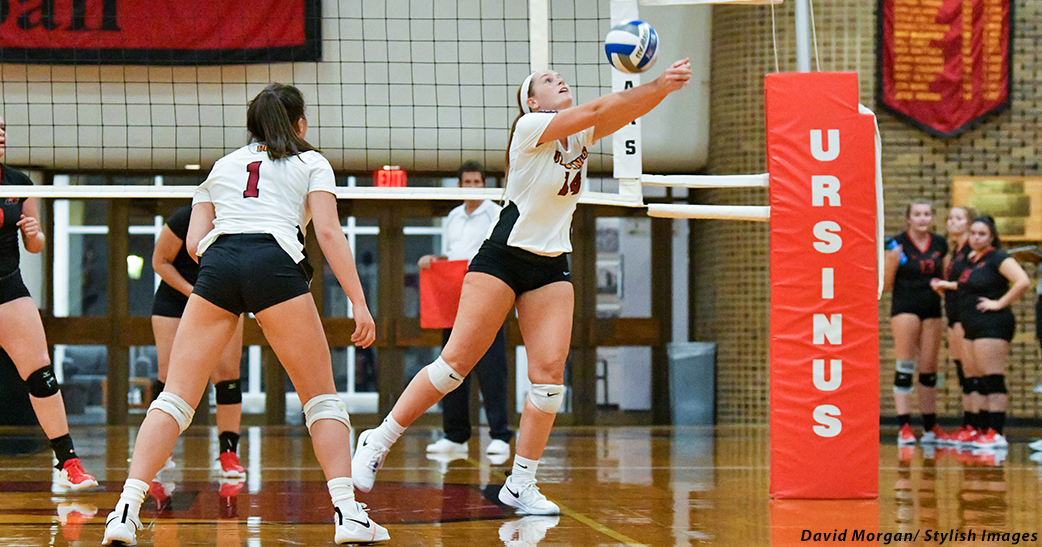 Volleyball Rolls to Sweep Against Albright