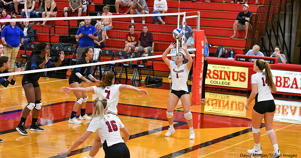 Volleyball Swept by Dickinson