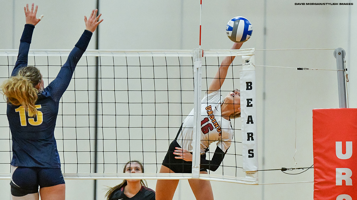 Volleyball Drops Two at Neumann